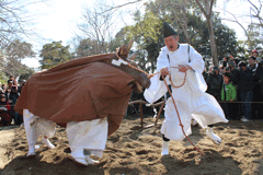 鏡作神社の御田植祭の写真