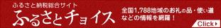 ふるさとチョイス ふるさと納税 奈良県田原本町