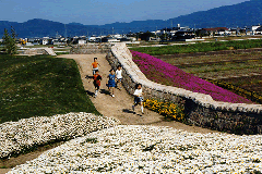 やすらぎ公園の写真