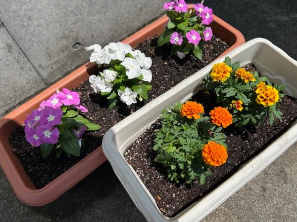 花