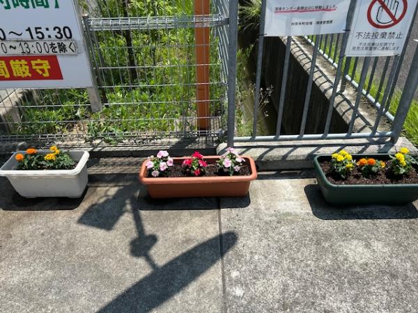 花