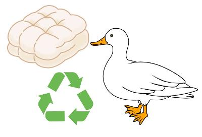 羽毛製品リサイクル