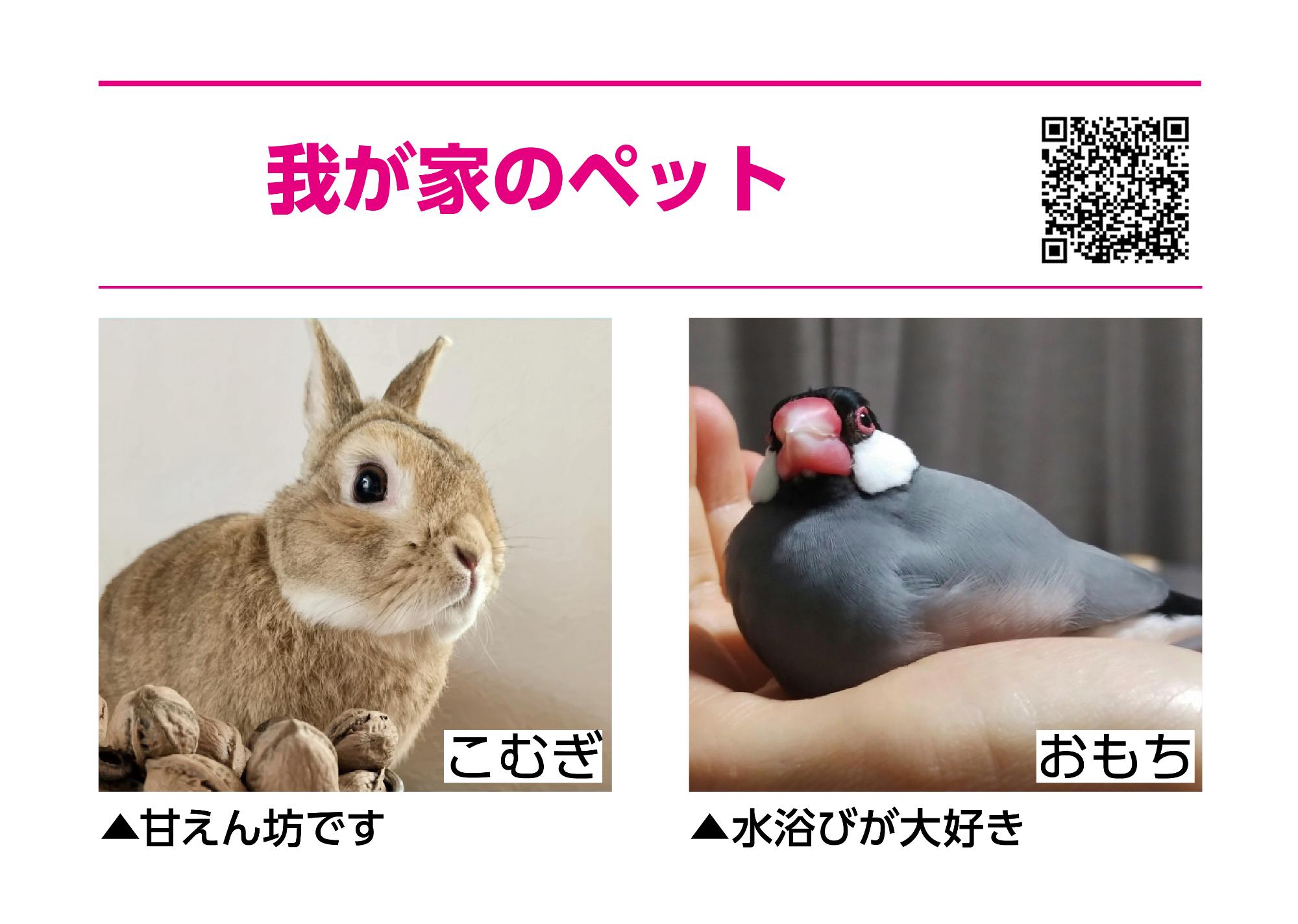 我が家のペット