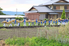 今里の蛇巻きの写真（男の子が麦わらを束ねた麦わらで出来た蛇の蛇頭を抱え、今里の各戸を歩く写真）