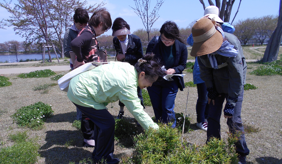 公園内の植物を調査している様子