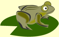 カエルのイラスト