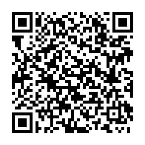 20251124田原本町民デー無料招待