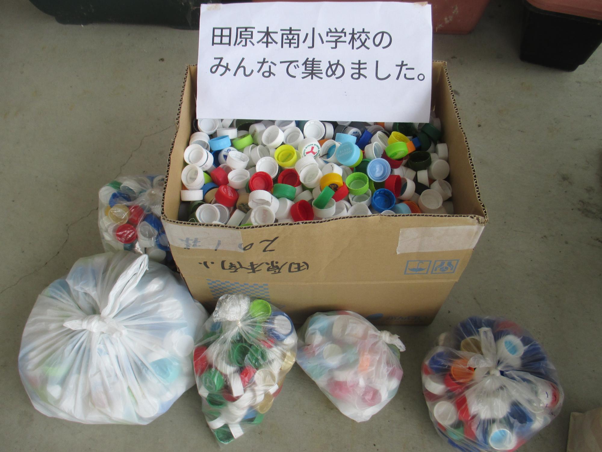 ペットボトルキャップ