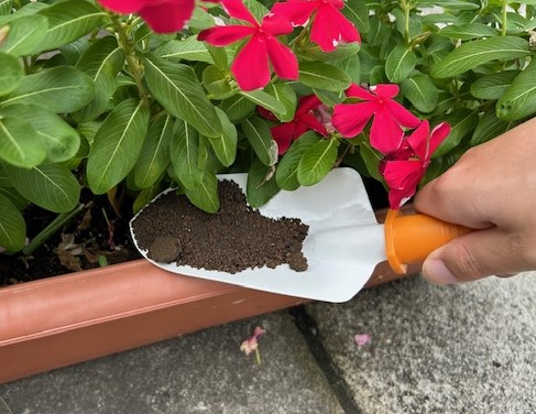 肥料として再利用