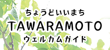 田原本町PRパンフレット