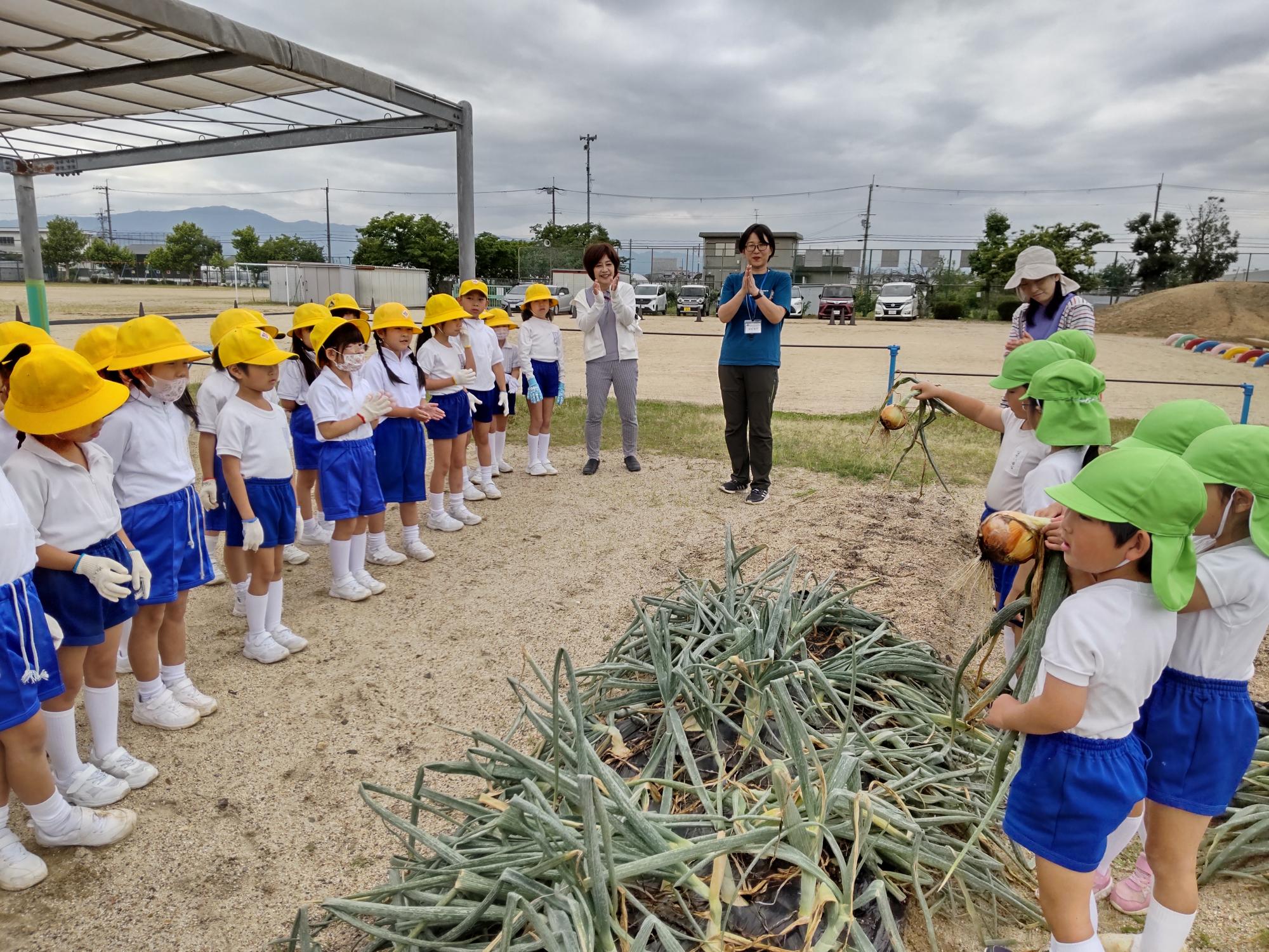 小学校交流