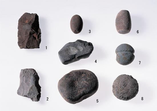 全部で8つの石があり、種類は石の鍬・凹石・石槌・磨石・タタキ石の写真