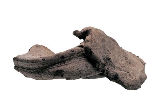 土器の失敗品の写真。左広口壷の口縁部から頸部と推定される。