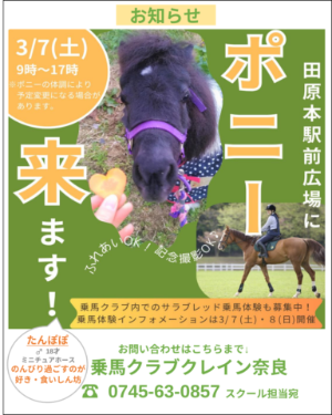 駅前出店者情報「乗馬クラブクレイン奈良」