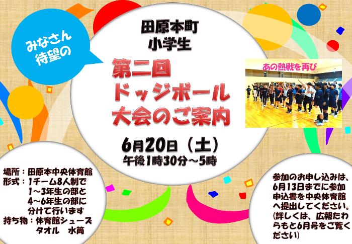 小学生ドッジボール大会チラシ